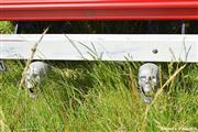 Cars en Coffee Wetteren -  13 juni 2021