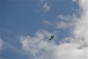 Fly-In & Oldtimers Keiheuvel (Balen) - foto 17 van 173