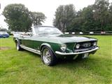 Old School Mustang Meeting - foto 19 van 48