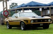 Old School Mustang Meeting - foto 39 van 48