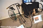Expo Velocipède - De geschiedenis van de fiets @ Jie-Pie - foto 23 van 61
