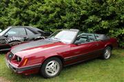 Mustang & Cougar meeting - foto 9 van 87
