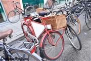 Wondelgemse fietsrit @ Jie-Pie - foto 11 van 165
