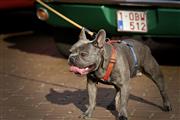 LeoClassics - foto 49 van 309