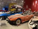 National Corvette Museum - foto 29 van 133