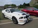 Mustang Fever - foto 264 van 305
