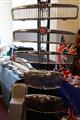 British Cars & Lifestyle (Rosmalen) -  24 april 2022