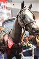 British Cars & Lifestyle (Rosmalen) -  24 april 2022