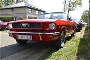 Mustang Fever