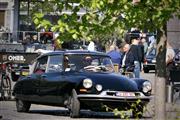 Bloesemrit Diepenbeek - foto 26 van 350