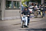 Bloesemrit Diepenbeek -  24 april 2022