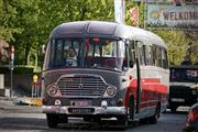 Bloesemrit Diepenbeek -  24 april 2022