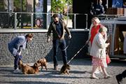 Bloesemrit Diepenbeek -  24 april 2022