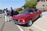 Mustang Fever - foto 50 van 252