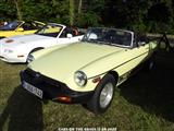 Cars on the grass (Putte) - foto 16 van 309
