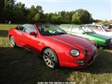 Cars on the grass (Putte) - foto 42 van 309