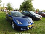 Cars on the grass (Putte) - foto 100 van 309