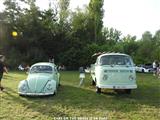 Cars on the grass (Putte)