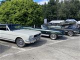 Mustang & Cougar meeting - foto 2 van 89