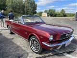 Mustang & Cougar meeting - foto 5 van 89