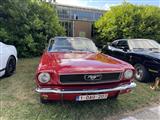 Mustang & Cougar meeting - foto 8 van 89