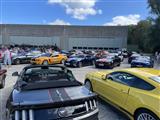 Mustang & Cougar meeting - foto 9 van 89