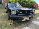 Mustang & Cougar meeting - foto 11 van 89