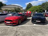 Mustang & Cougar meeting - foto 17 van 89