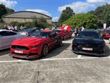 Mustang & Cougar meeting