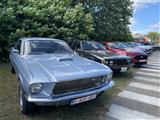 Mustang & Cougar meeting - foto 20 van 89
