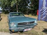Mustang & Cougar meeting - foto 22 van 89