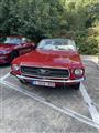 Mustang & Cougar meeting