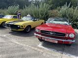 Mustang & Cougar meeting - foto 30 van 89