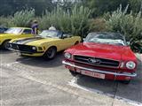 Mustang & Cougar meeting