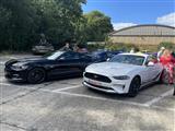 Mustang & Cougar meeting