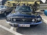Mustang & Cougar meeting - foto 38 van 89