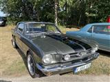 Mustang & Cougar meeting - foto 39 van 89