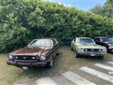 Mustang & Cougar meeting - foto 40 van 89