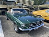 Mustang & Cougar meeting - foto 44 van 89