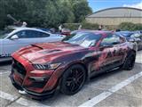 Mustang & Cougar meeting - foto 47 van 89