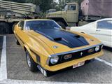 Mustang & Cougar meeting - foto 48 van 89