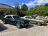 Mustang & Cougar meeting - foto 52 van 89
