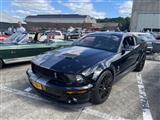 Mustang & Cougar meeting - foto 54 van 89