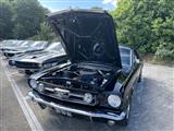 Mustang & Cougar meeting - foto 57 van 89