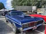 Mustang & Cougar meeting - foto 60 van 89