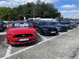 Mustang & Cougar meeting