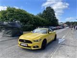 Mustang & Cougar meeting - foto 67 van 89