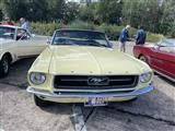 Mustang & Cougar meeting - foto 68 van 89