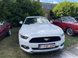 Mustang & Cougar meeting