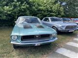 Mustang & Cougar meeting - foto 81 van 89